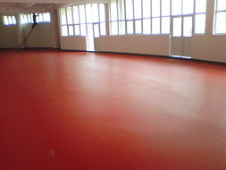 石家莊、唐山、秦皇島、邯鄲、邢臺PVC塑膠地板供應 專業(yè)運動場地解決方案