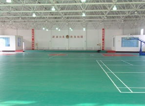 天津運動地板、廊坊PVC地板、唐山塑膠地板與滄州球場地板廠家圖片展示
